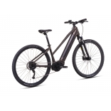 ONE-Cross low 7.11 4.jpg