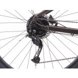 ONE-Cross low 7.11 7.jpg