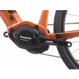 e-Cross low 7.11 6.jpg