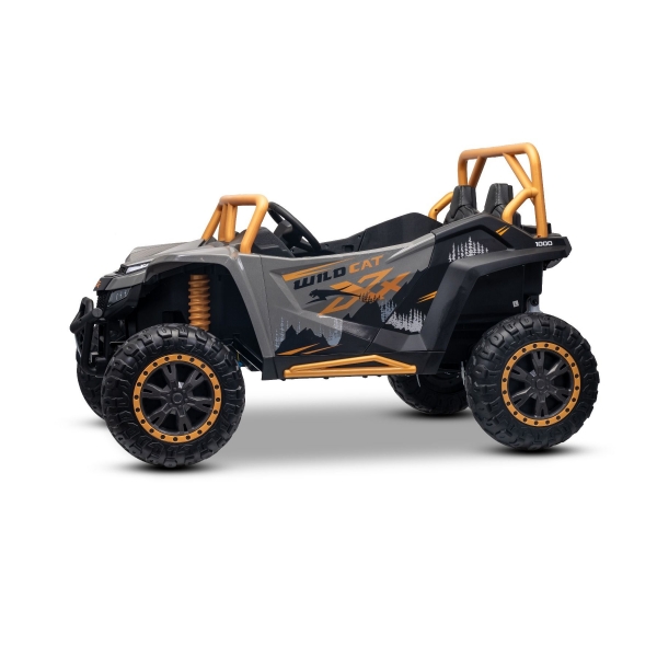 ARTIC_CAT_BUGGY_GREY_Li 4.jpg