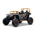 ARTIC_CAT_BUGGY_GREY_Li 2.jpg