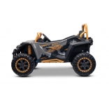 ARTIC_CAT_BUGGY_GREY_Li 5.jpg