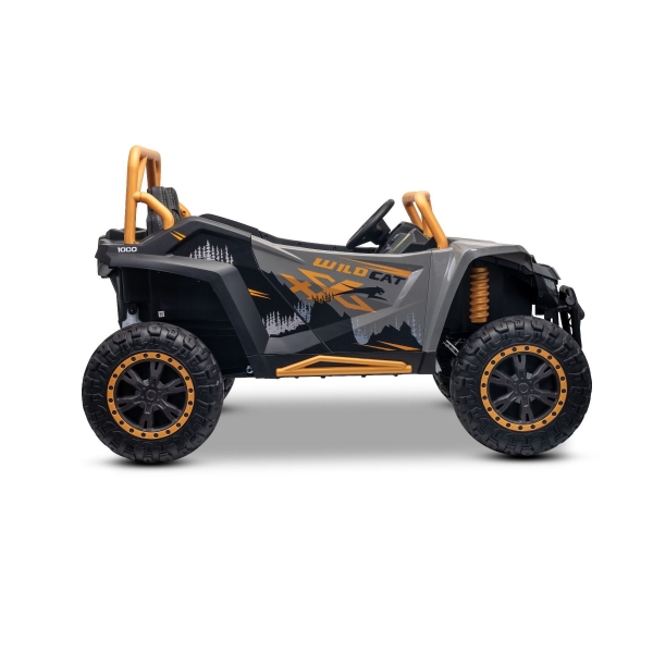 ARTIC_CAT_BUGGY_GREY_Li 17.jpg