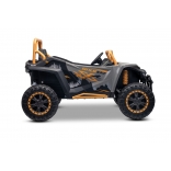 ARTIC_CAT_BUGGY_GREY_Li 17.jpg