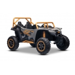 ARTIC_CAT_BUGGY_GREY_Li 20.jpg