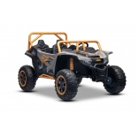 ARTIC_CAT_BUGGY_GREY_Li 21.jpg