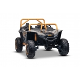 ARTIC_CAT_BUGGY_GREY_Li 22.jpg