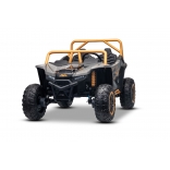 ARTIC_CAT_BUGGY_GREY_Li 24.jpg