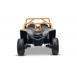 ARTIC_CAT_BUGGY_GREY_Li 23.jpg