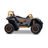 ARTIC_CAT_BUGGY_GREY_Li 18.jpg