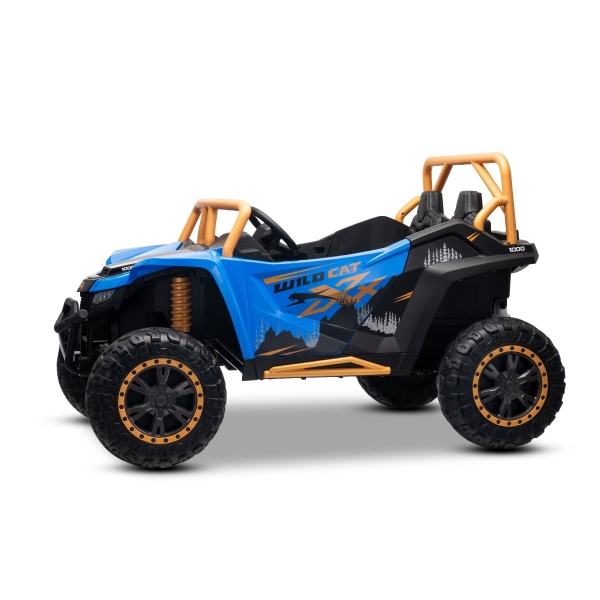 ARTIC_CAT_BUGGY_BLUE_Li 4.jpg