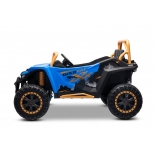 ARTIC_CAT_BUGGY_BLUE_Li 5.jpg