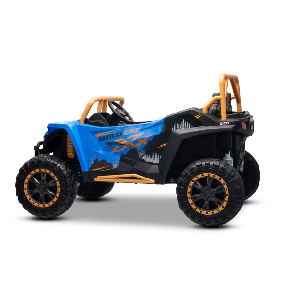 ARTIC_CAT_BUGGY_BLUE_Li 6.jpg