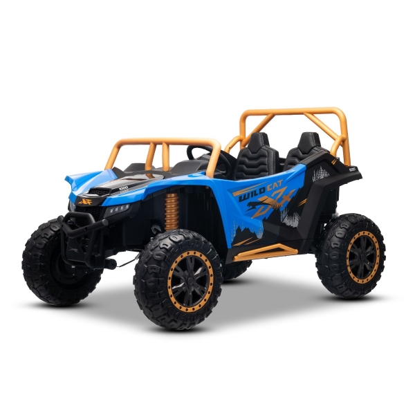 ARTIC_CAT_BUGGY_BLUE_Li 2.jpg