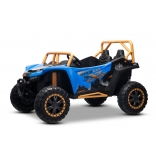 ARTIC_CAT_BUGGY_BLUE_Li 3.jpg
