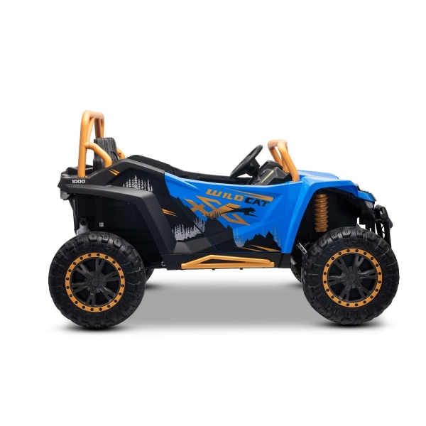 ARTIC_CAT_BUGGY_BLUE_Li 17.jpg