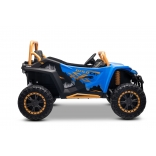 ARTIC_CAT_BUGGY_BLUE_Li 17.jpg