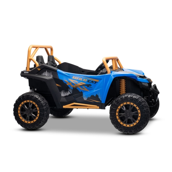 ARTIC_CAT_BUGGY_BLUE_Li 18.jpg