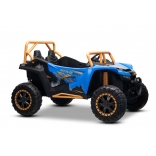 ARTIC_CAT_BUGGY_BLUE_Li 19.jpg