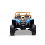 ARTIC_CAT_BUGGY_BLUE_Li 23.jpg