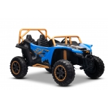 ARTIC_CAT_BUGGY_BLUE_Li 20.jpg