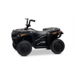 ARTIC_CAT_QUAD_BLACK_Li 4.jpg