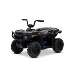 ARTIC_CAT_QUAD_BLACK_Li 2.jpg