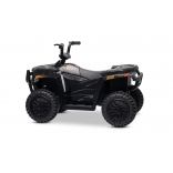 ARTIC_CAT_QUAD_BLACK_Li 6.jpg