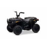 ARTIC_CAT_QUAD_BLACK_Li 3.jpg