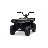 ARTIC_CAT_QUAD_BLACK_Li 12.jpg