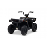 ARTIC_CAT_QUAD_BLACK_Li 13.jpg