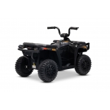 ARTIC_CAT_QUAD_BLACK_Li 14.jpg