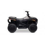 ARTIC_CAT_QUAD_BLACK_Li 17.jpg