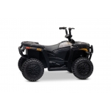 ARTIC_CAT_QUAD_BLACK_Li 16.jpg