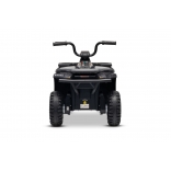 ARTIC_CAT_QUAD_BLACK_Li 11.jpg