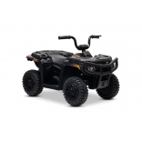 ARTIC_CAT_QUAD_BLACK_Li 20.jpg