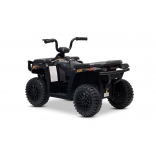 ARTIC_CAT_QUAD_BLACK_Li 8.jpg