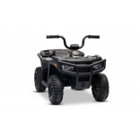 ARTIC_CAT_QUAD_BLACK_Li 22.jpg