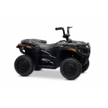 ARTIC_CAT_QUAD_BLACK_Li 18.jpg