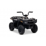 ARTIC_CAT_QUAD_BLACK_Li 21.jpg