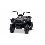 ARTIC_CAT_QUAD_BLACK_Li 24.jpg