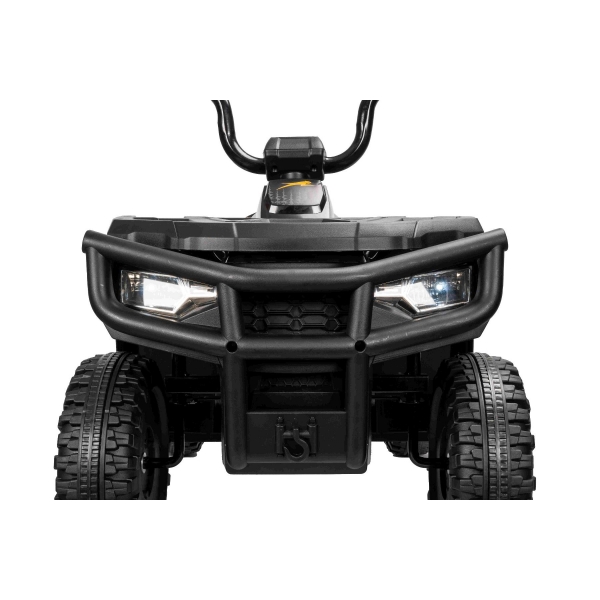 ARTIC_CAT_QUAD_BLACK_Li 25.jpg