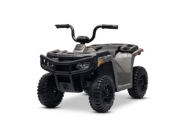 ARTIC_CAT_QUAD_GREY_Li 1.jpg