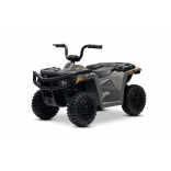 ARTIC_CAT_QUAD_GREY_Li 2.jpg