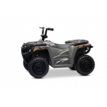 ARTIC_CAT_QUAD_GREY_Li 4.jpg