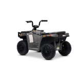 ARTIC_CAT_QUAD_GREY_Li 8.jpg