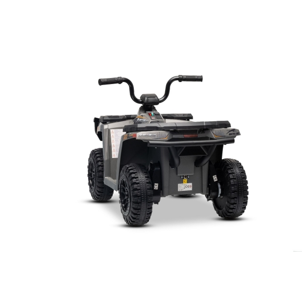 ARTIC_CAT_QUAD_GREY_Li 10.jpg