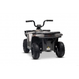 ARTIC_CAT_QUAD_GREY_Li 10.jpg