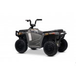 ARTIC_CAT_QUAD_GREY_Li 7.jpg