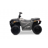 ARTIC_CAT_QUAD_GREY_Li 5.jpg